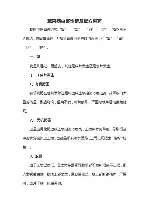 蔬菜病虫害生理病害诊断方法及解决方案