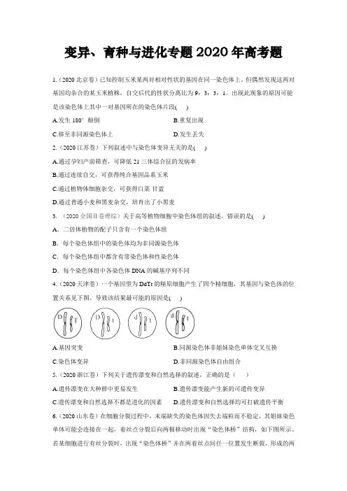 高中生物变异、育种与进化专题2020年高考题汇总附答案