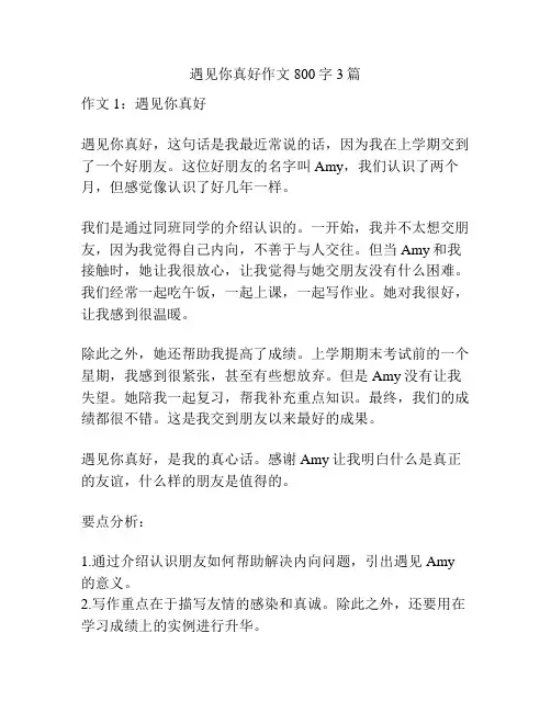 遇见你真好作文800字3篇