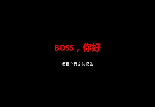 别墅项目产品定位报告
