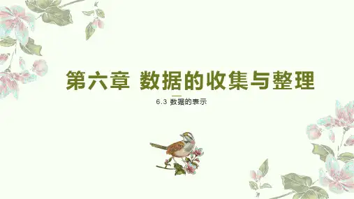 数据的表示第1课时课件北师大版七年级上册数学