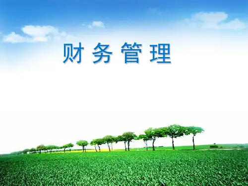 财务管理-11第十一章 财务分析
