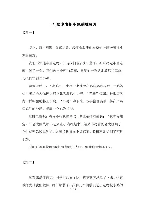 一年级老鹰捉小鸡看图写话