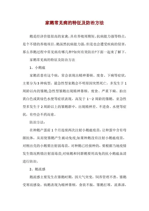 家鹅常见病的特征及防治方法
