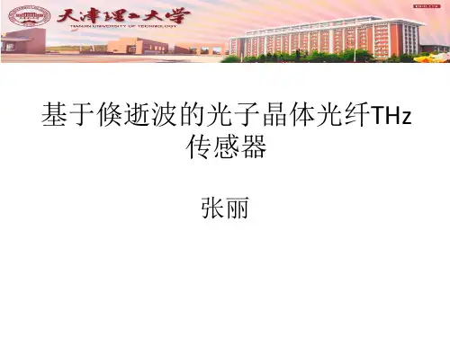 基于倏逝波的光子晶体光纤THz