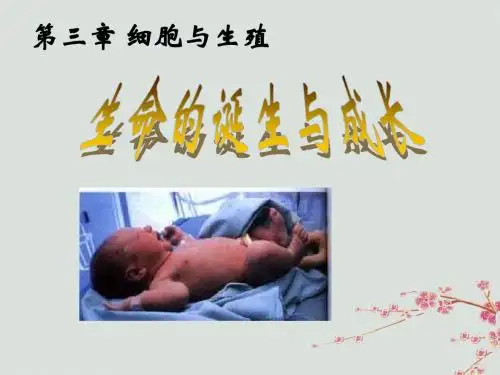 六年级科学上册 第3章 细胞与生殖 3.2 生命的诞生与成