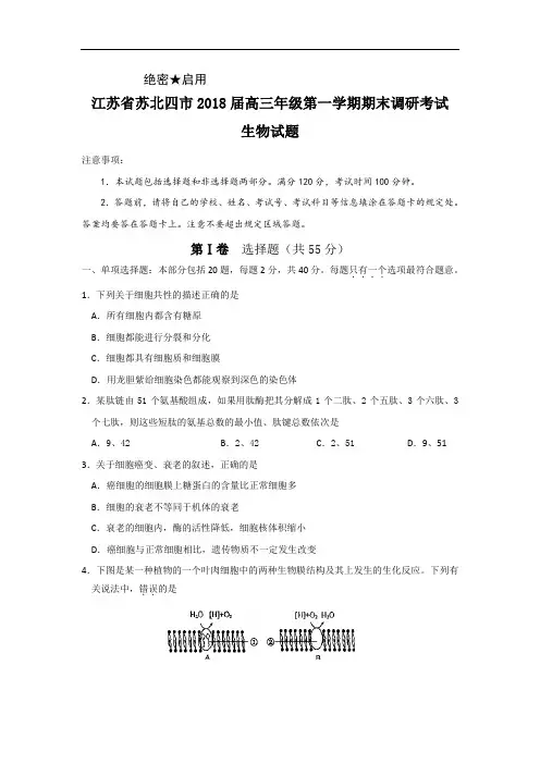 最新-江苏省苏北四市2018届高三年级第一学期期末调研考试(生物)word版2018 精品
