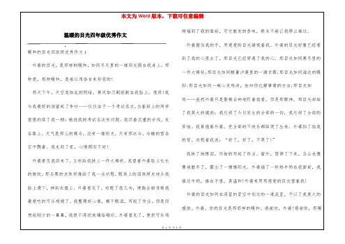 温暖的目光四年级优秀作文