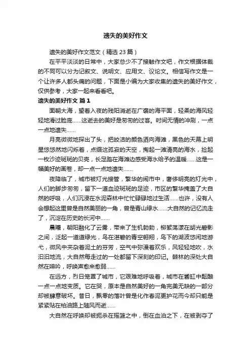 遗失的美好作文