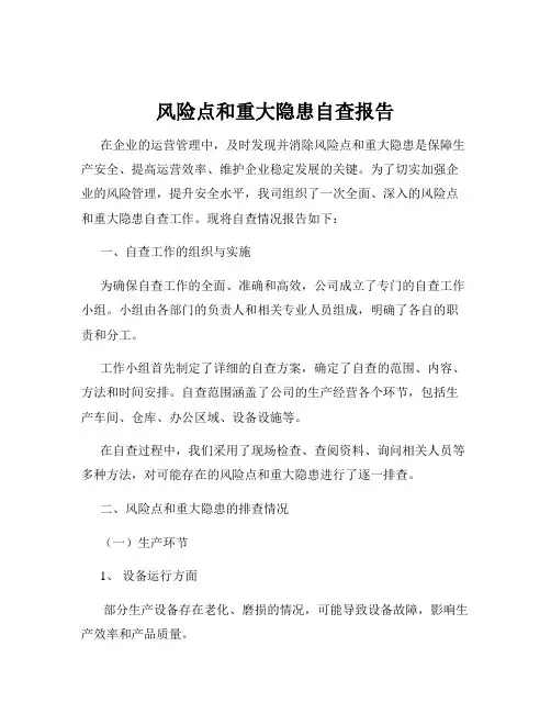 风险点和重大隐患自查报告
