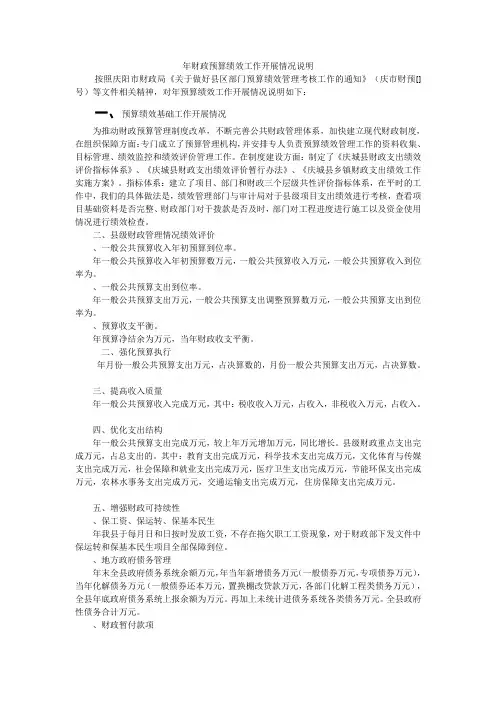 年财政预算绩效工作开展情况说明