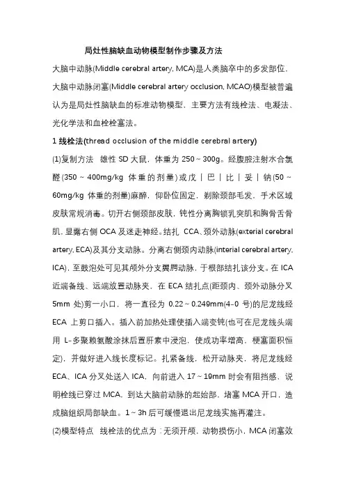 局灶性脑缺血动物模型制作步骤及方法