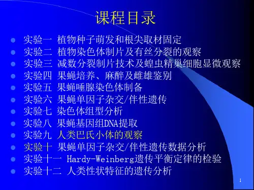 试验八巴氏小体课件