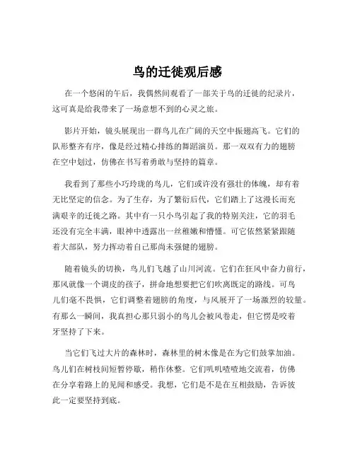 鸟的迁徙观后感