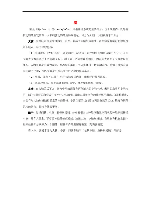 八年级生物上册 6.16.1《人体的神经调节》脑的详细结构知识延伸 (新版)苏科版