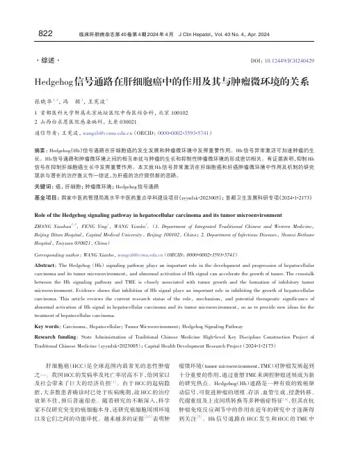 Hedgehog信号通路在肝细胞癌中的作用及其与肿瘤微环境的关系
