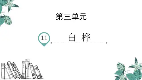 《白桦》语文教学PPT课件(6篇)