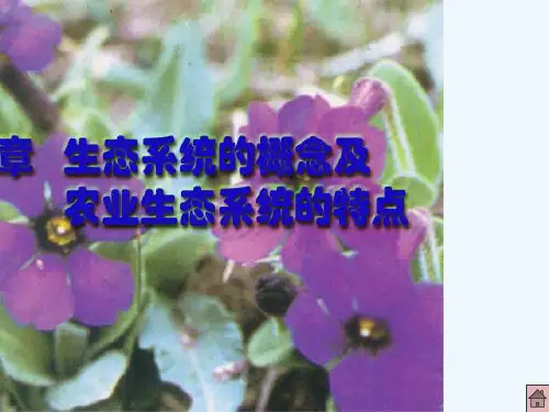 生态系统的概念及农业生态系统的特点 PPT