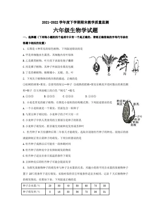 山东省泰安市肥城市2021-2022学年六年级(五四制)下学期期末考试生物试题