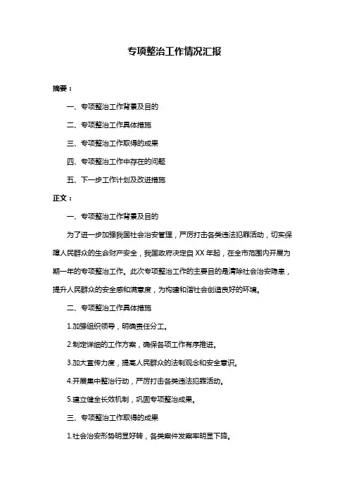 专项整治工作情况汇报