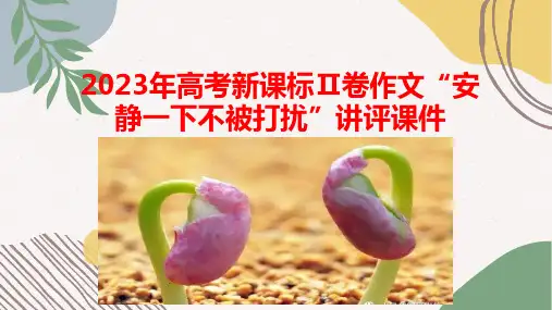 2023年高考新课标Ⅱ卷作文“安静一下不被打扰”讲评+课件33张