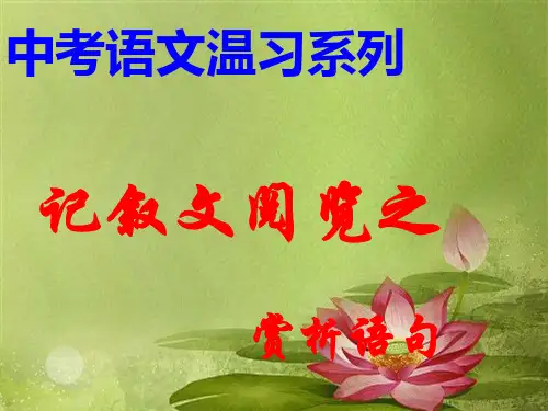 中考语文记叙文阅读理解句子含义.ppt