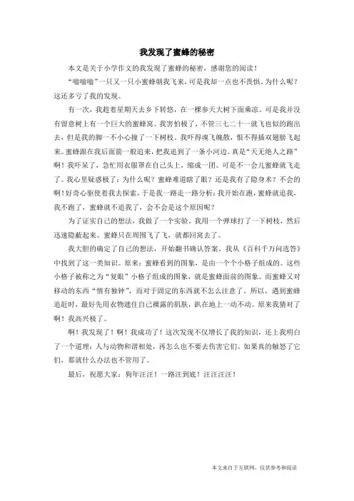 我发现了蜜蜂的秘密_小学作文
