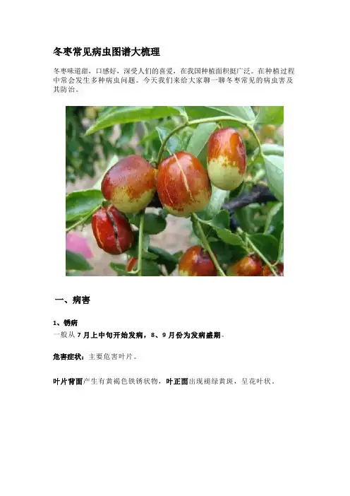冬枣常见病虫图谱大梳理