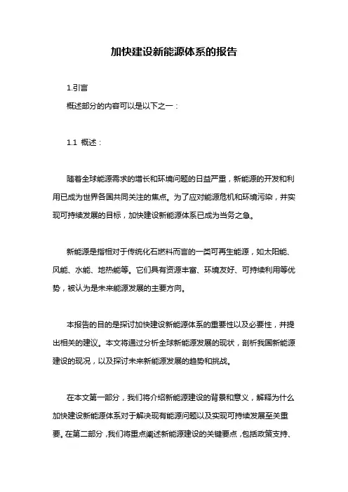 加快建设新能源体系的报告