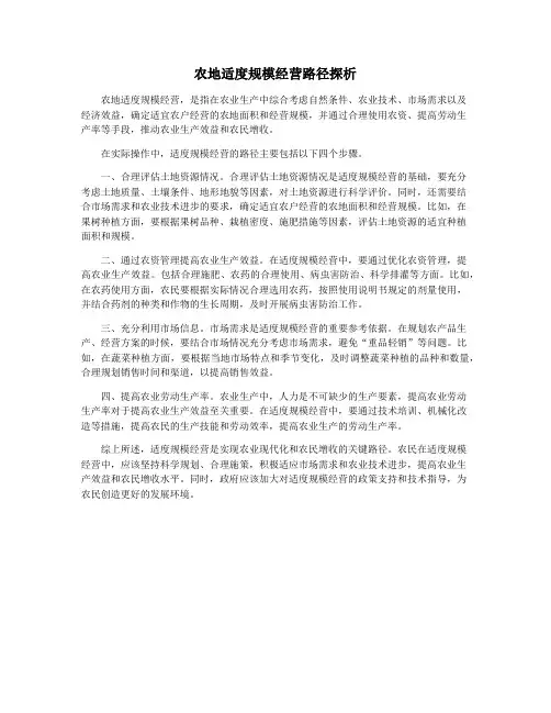 农地适度规模经营路径探析