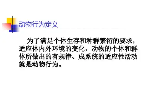 动物行为学PPT课件