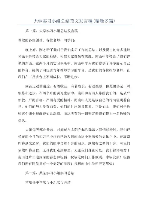 大学实习小组总结范文发言稿(精选多篇)