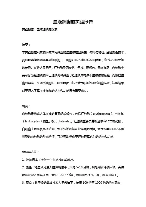 血液细胞的实验报告