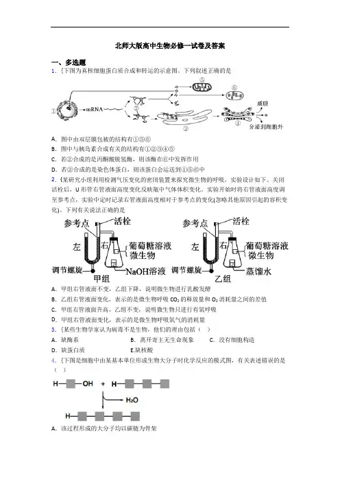 北师大版高中生物必修一试卷及答案