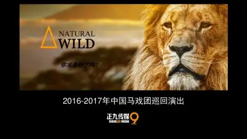 中国马戏团巡回演出招商方案