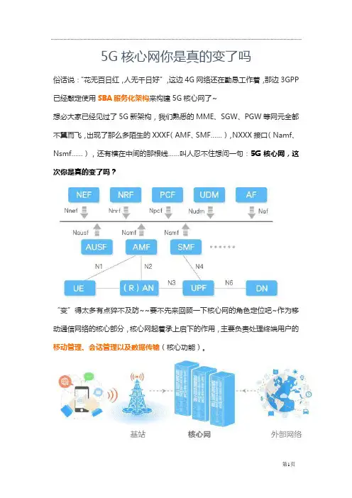 5G核心网你是真的变了吗(5G核心网原理)