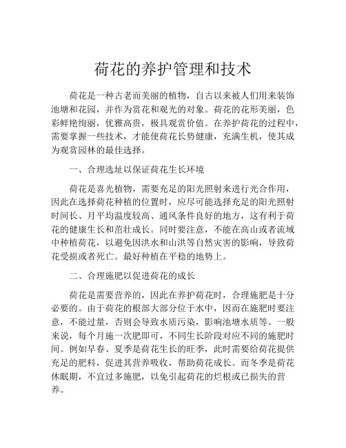 荷花的养护管理和技术