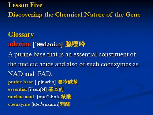 大学英语教程Lesson Five