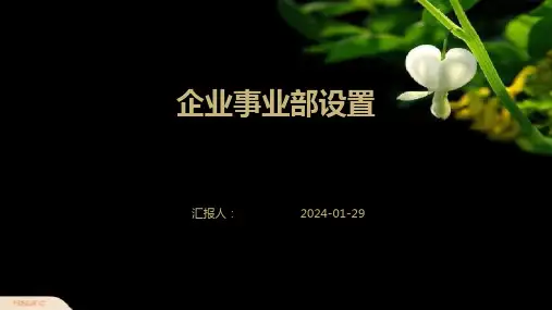 企业事业部设置