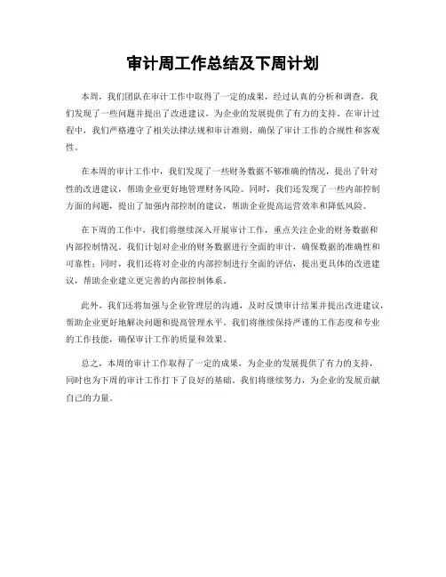 审计周工作总结及下周计划
