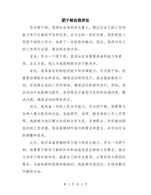 团干部自我评议