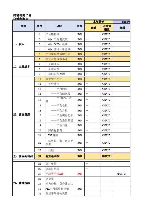 240312跨境电商利润表模板工具