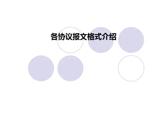 各协议报文格式介绍PPT课件