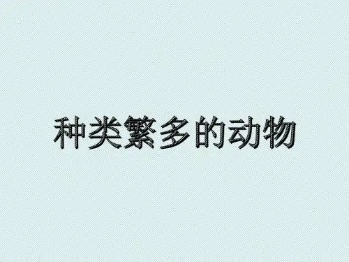 教科版小学科学六年级上册《种类繁多的动物》课件1