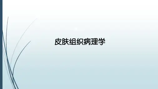 皮肤组织病理学
