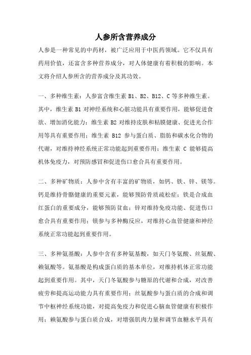 人参所含营养成分
