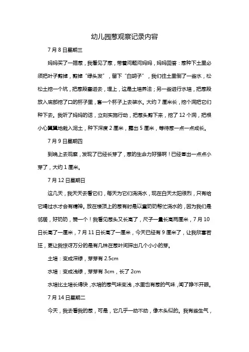 幼儿园葱观察记录内容
