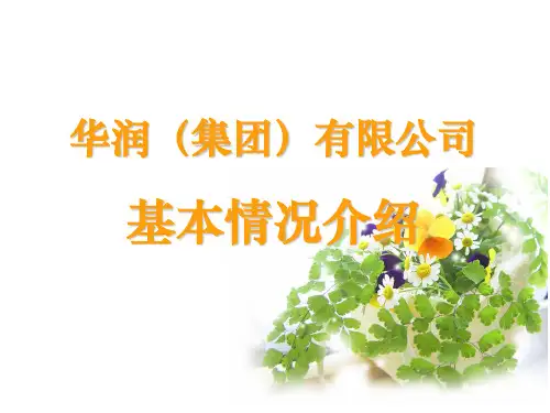 华润集团介绍