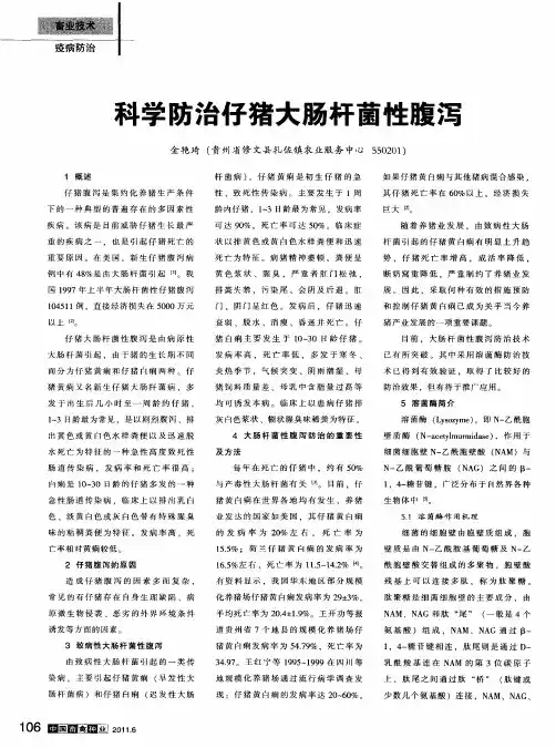 科学防治仔猪大肠杆菌性腹泻