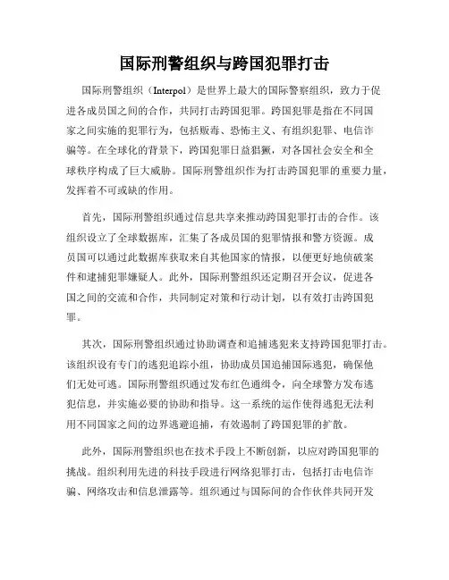 国际刑警组织与跨国犯罪打击